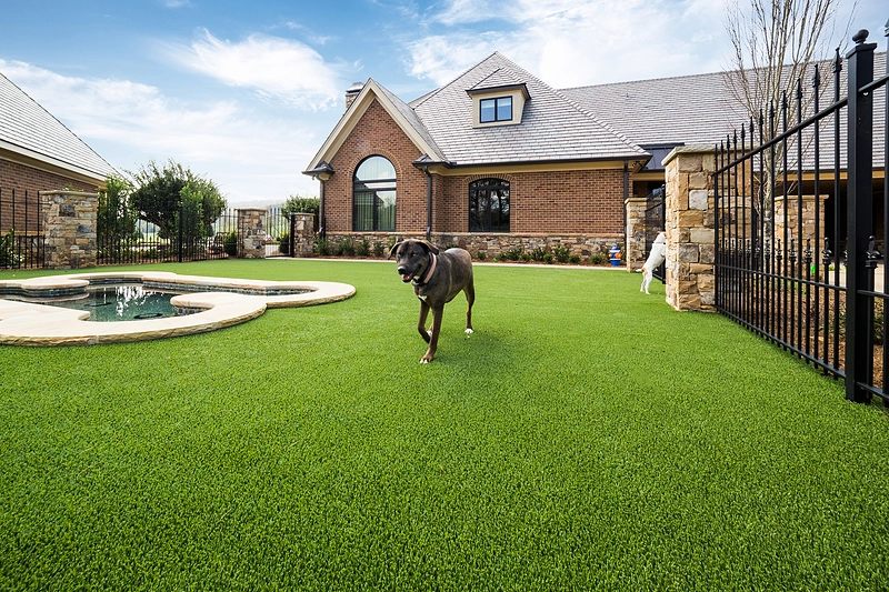 Durable pet lawn installation in Dallas, TX