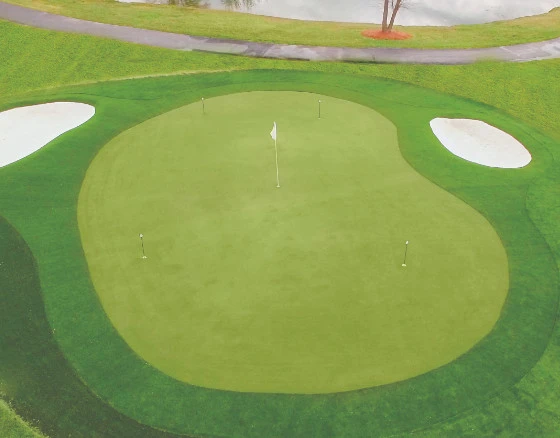 Backyard par 3 putting green installation in Dallas, TX